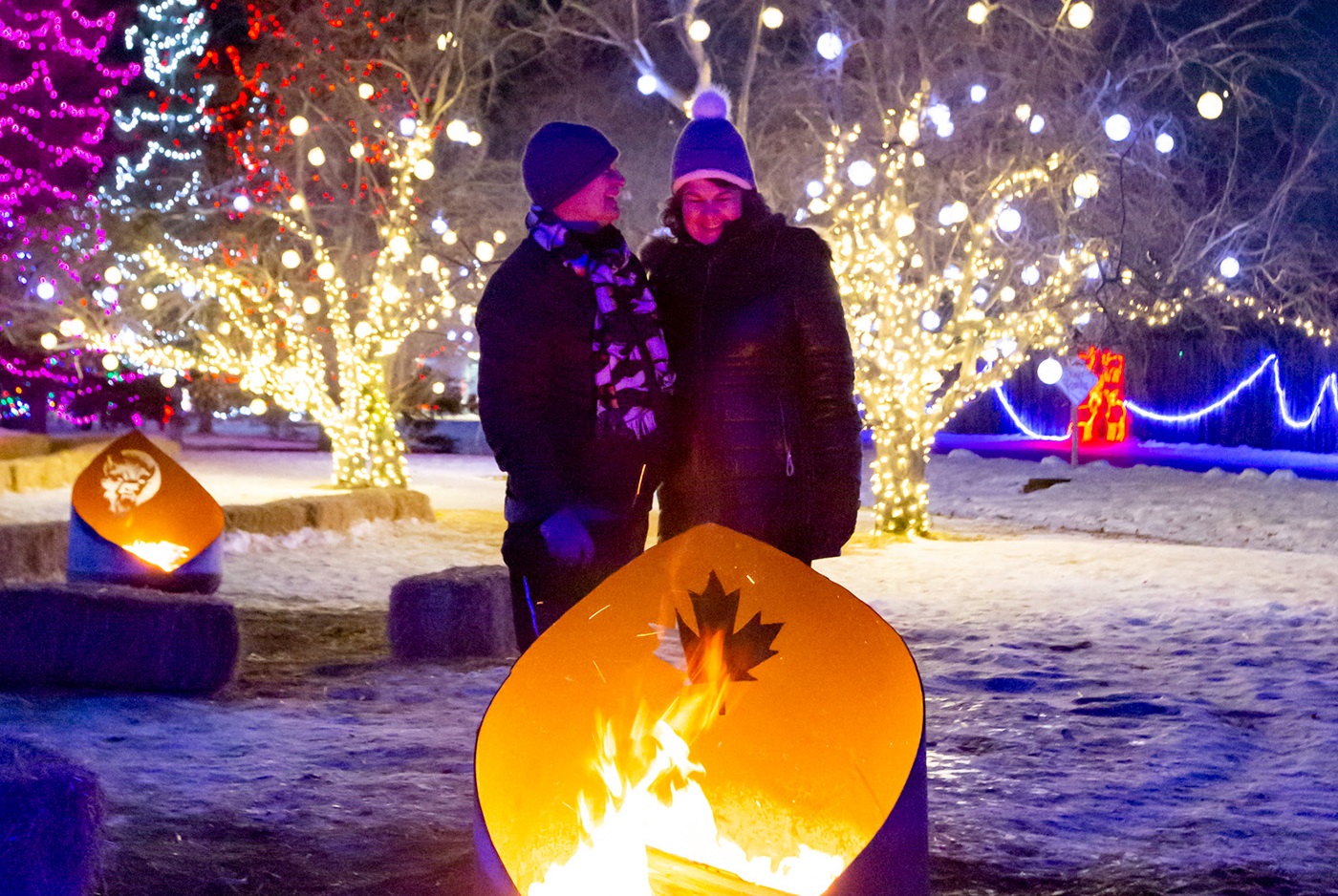 Zoo Lights at Assiniboine Park Runs Until January 7, 2025