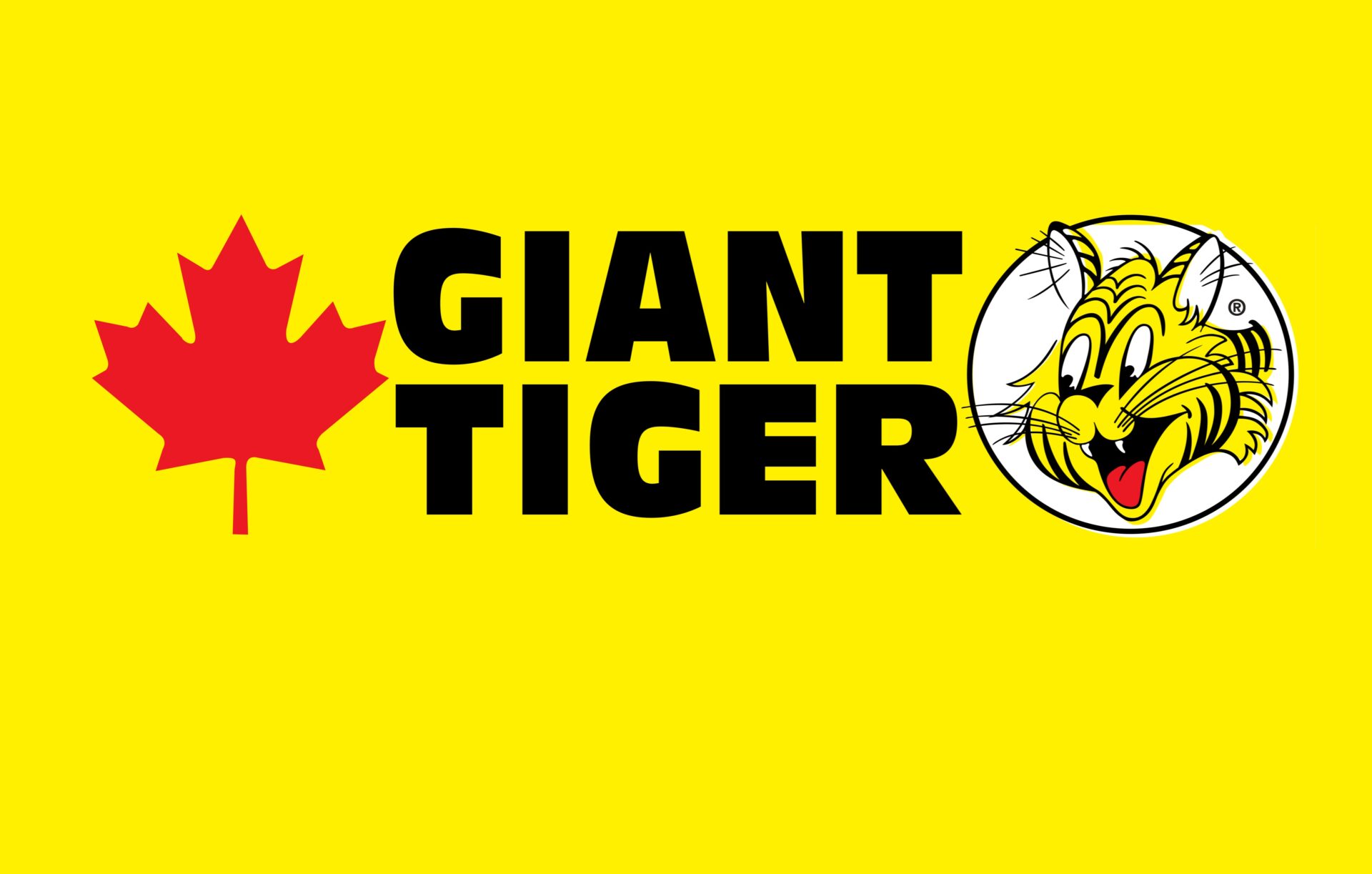Giant Tiger Closing Two Winnipeg Stores due to "Challenges"